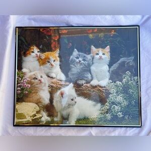 Adorable Kitten Art Print Vintage Framed